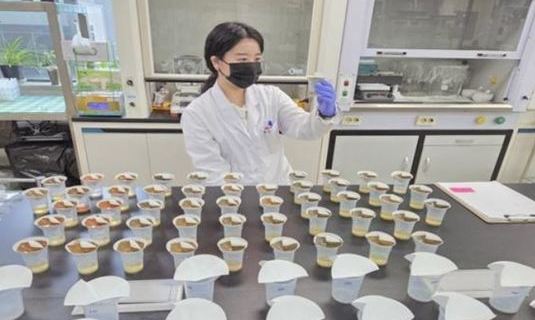 논산시, 대표필지 토양검정으로 과학영농 기반 강화