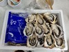 굴은 지금이 맛의 절정기