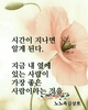 The뉴스라인 김상호 수필( 연재 )또순이와 꺼벙이 – 죄 없이 산다는 것