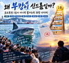 왜 부캉이 신드롬일까?